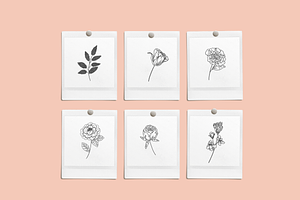 Bouquet Florals Vector Illustrations