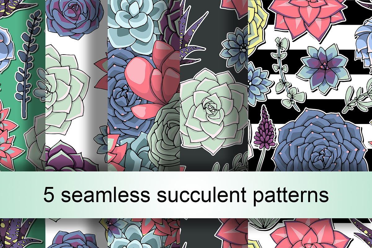 Succulent bundle!, a Decorative Illustration by kizi (Photo 4 of 7)