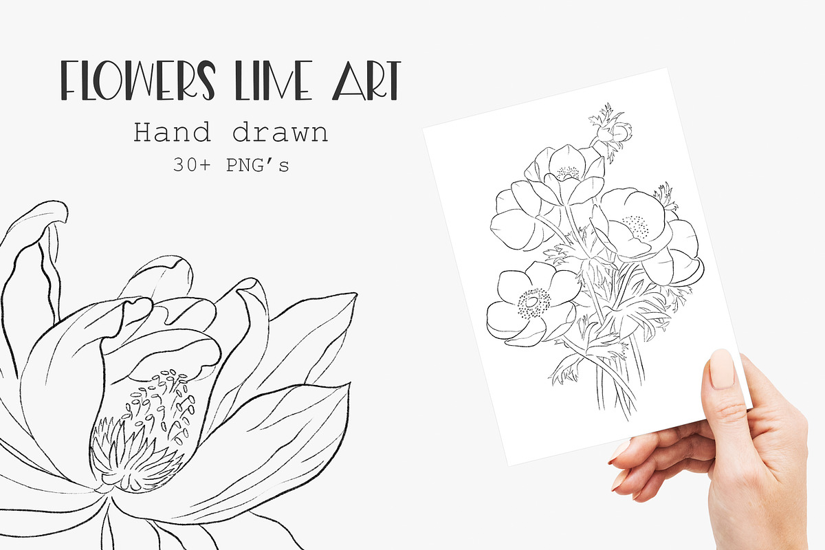Flowers Line Arts Clipart, an Illustration by natalisart (Photo 1 of 11)
