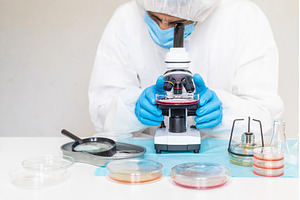 Examine bacteria in petri dishes in, a Technology Photo by yanadjana
