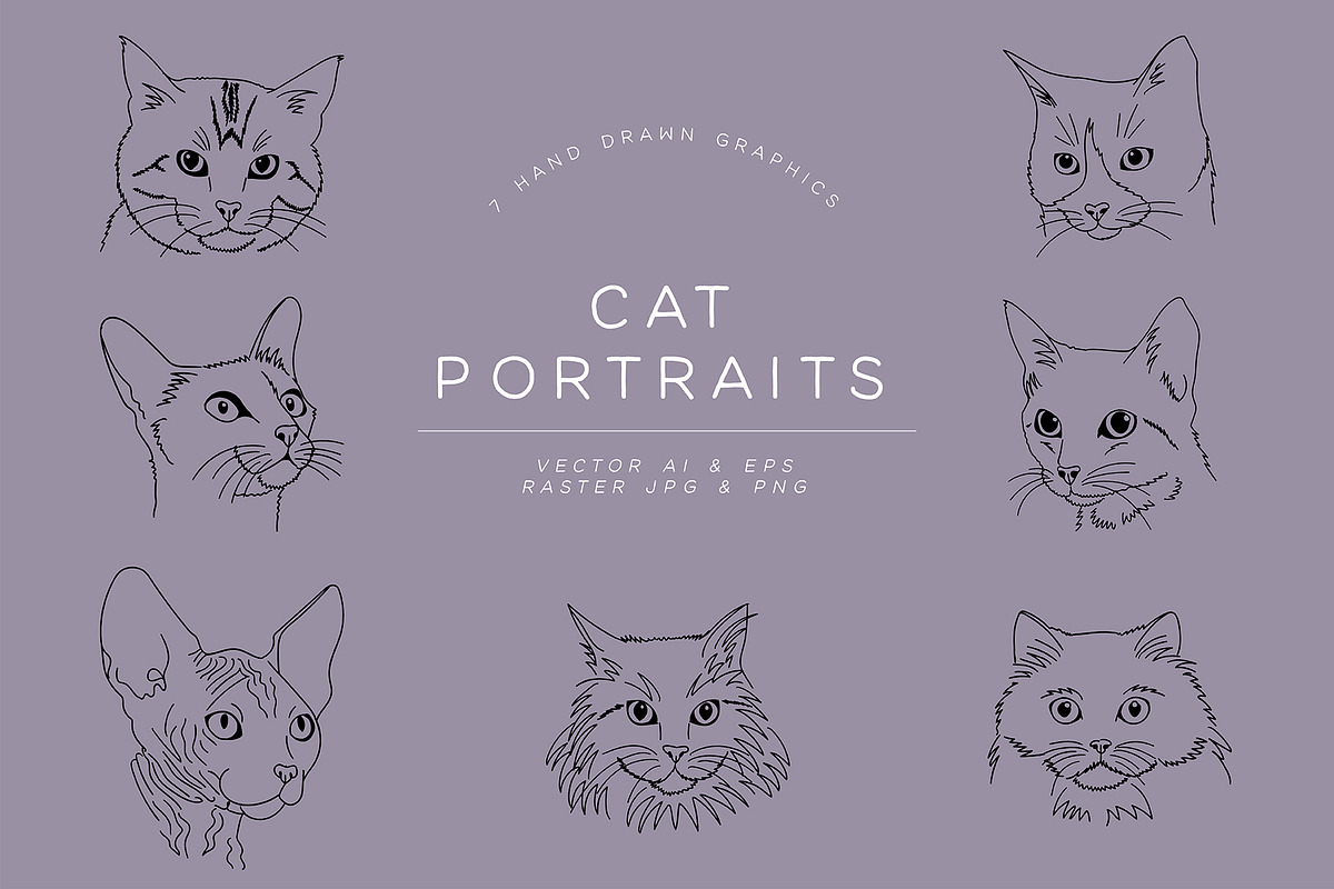 Hand Drawn Cat Portrait Bundle, an Illustration by East Grove