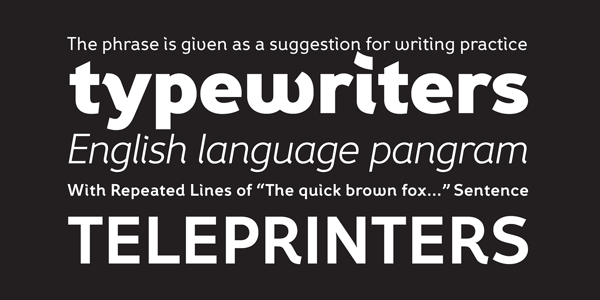 Fox Grotesque Pro, a Sans Serif Font by TipografiaRamis (Photo 4 of 10)