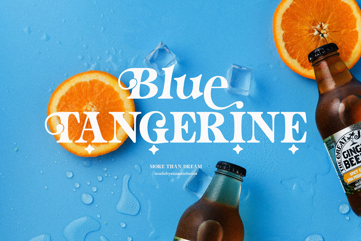 More Than Dream, a Serif Font by Sans & Sons (Photo 6 of 10)