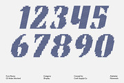 CS Aslan Stitched, a Sans Serif Font by Craft Supply Co. (Thumbnail 5 of 8)