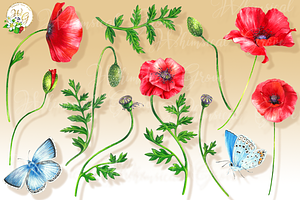 Scarlet Poppy Set 18 Clipart