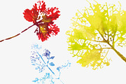 Creative set of 17 watercolor leaves, a Decorative Illustration by kizi (Thumbnail 2 of 3)