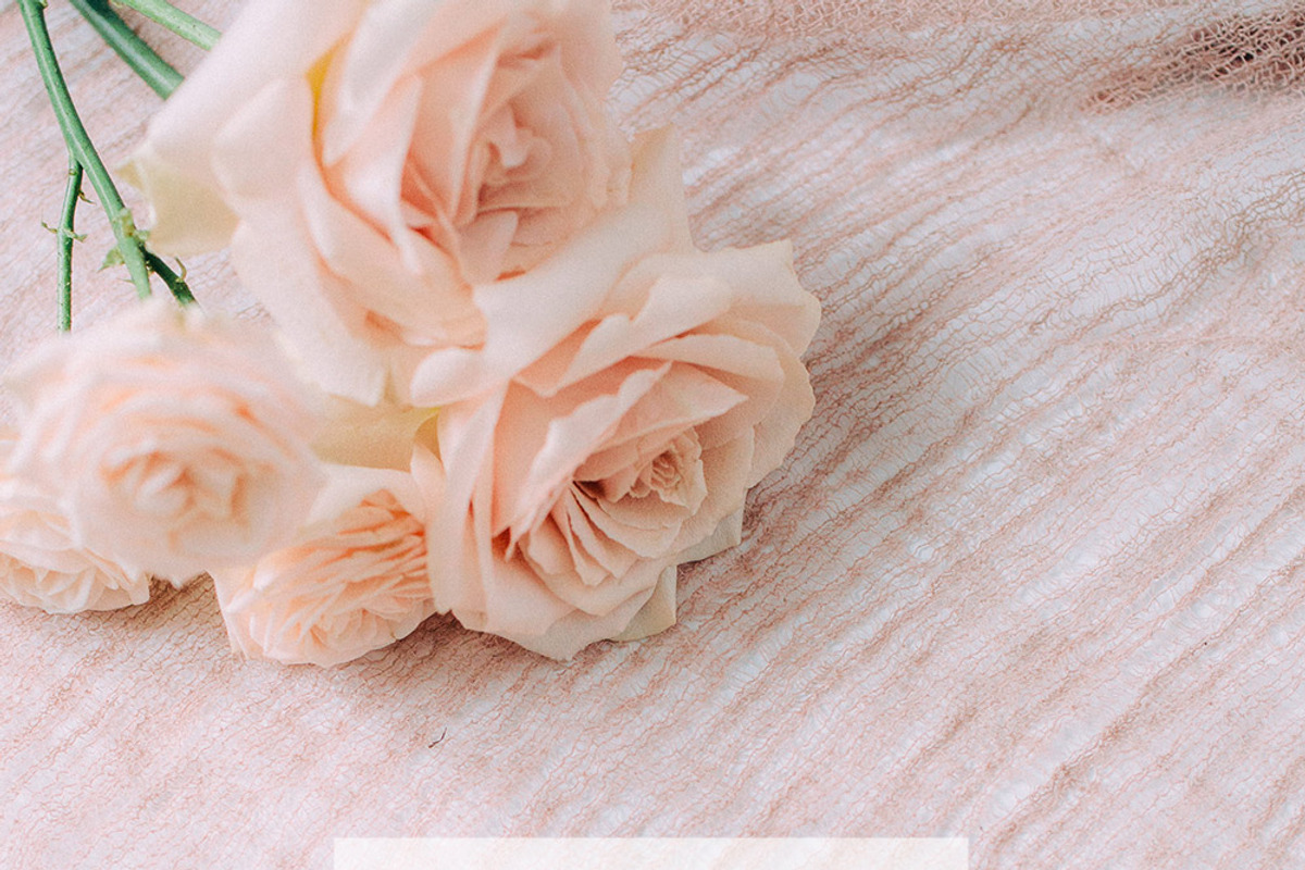 Blush roses stock photos SALE!, a Books & Magazine Mockup by Nellaino (Photo 4 of 4)