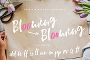 Fonts bundle - 12 fonts, a Handwritten Font by Creator Goodies (Thumbnail 13 of 37)