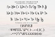 Delight Wedding, a Handwritten Font by InermediaSTUDIO (Thumbnail 2 of 8)