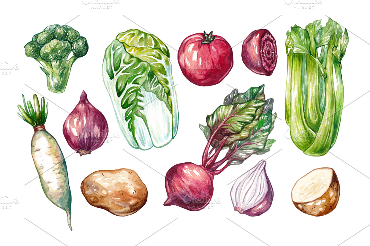 Watercolor Vegetables., a Food Illustration by Olga Olmix (Photo 3 of 6)