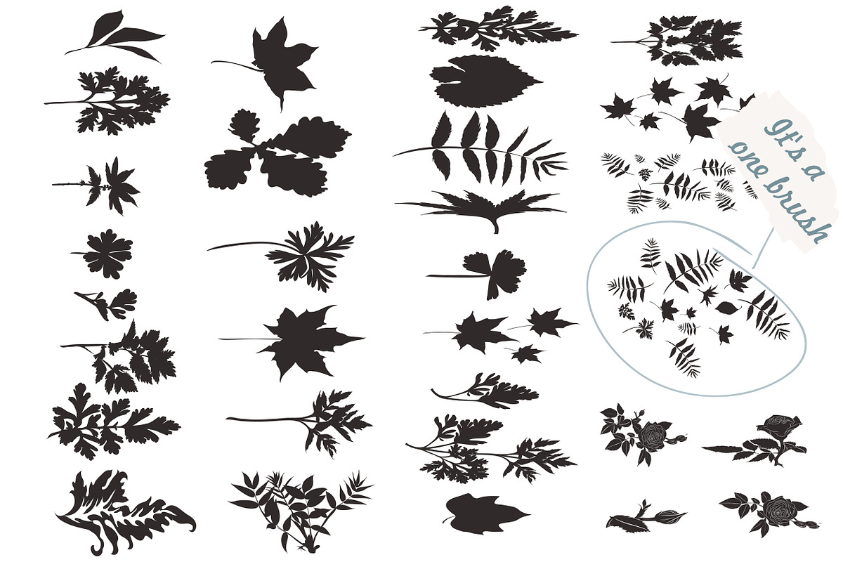 Pack of floral brushes preview 3
