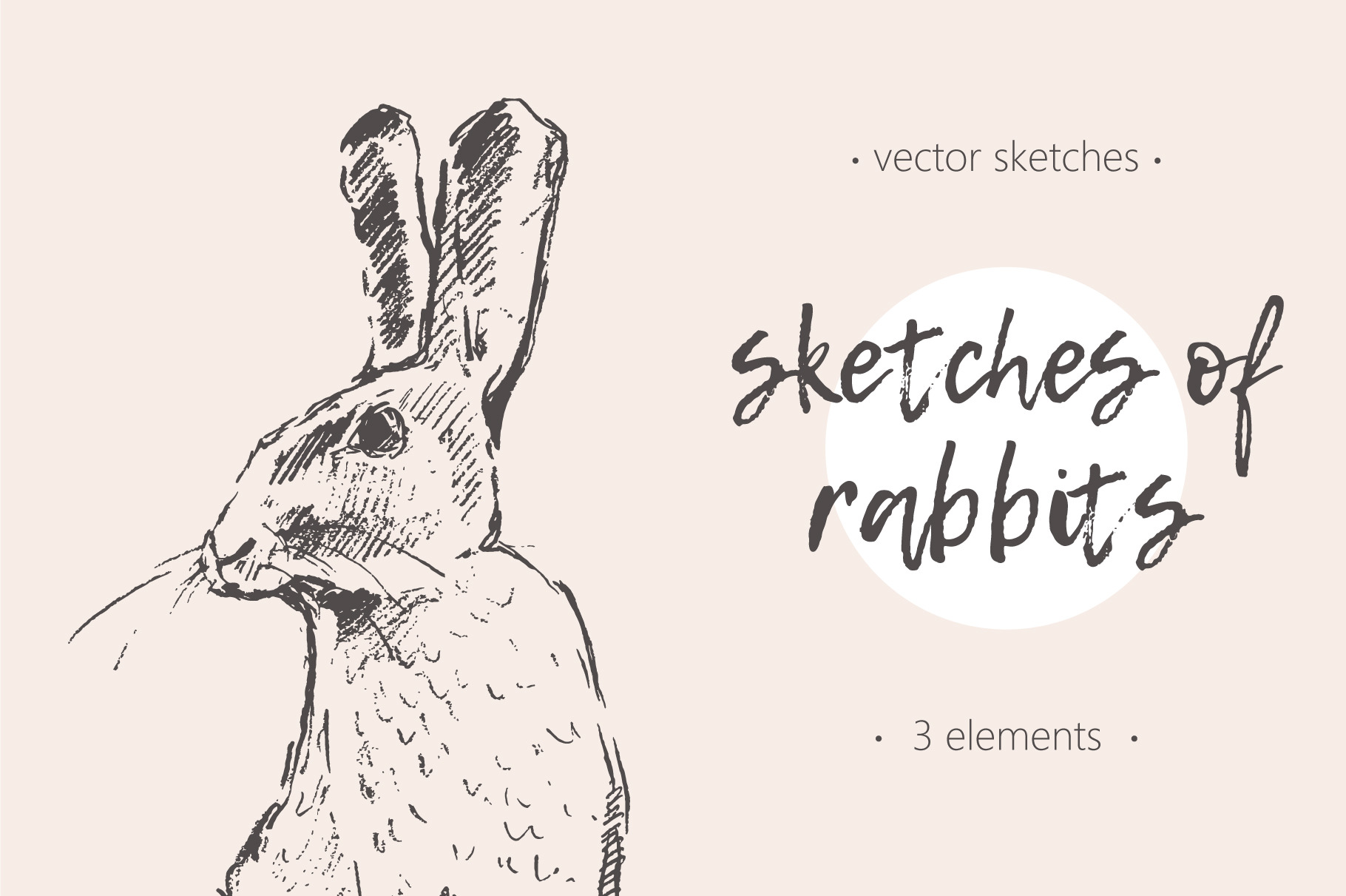 Set of hand drawn rabbits, an Animal Illustration by TheMountBirdStudio