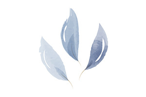 Pale blue watercolor leaves set with, an Illustration by okskukuruza