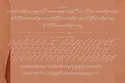 Artfully Stylish, a Script Font by operatype.co (Thumbnail 14 of 15)