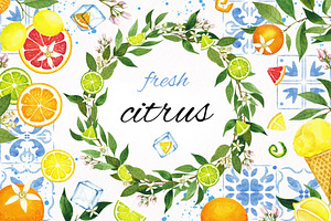 Citrus. Watercolor collection