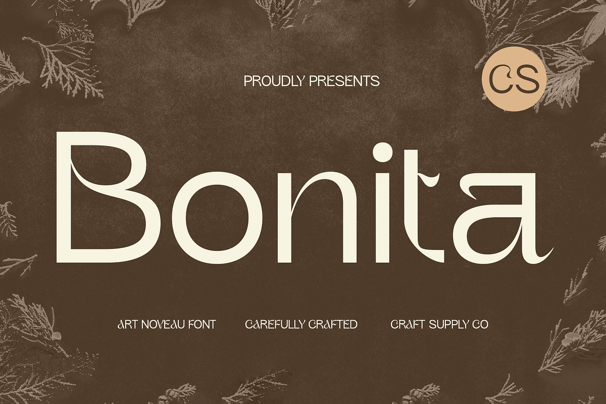 CS Bonita – Art Nouveau Font, a Sans Serif Font by Craft Supply Co. (Photo 1 of 8)