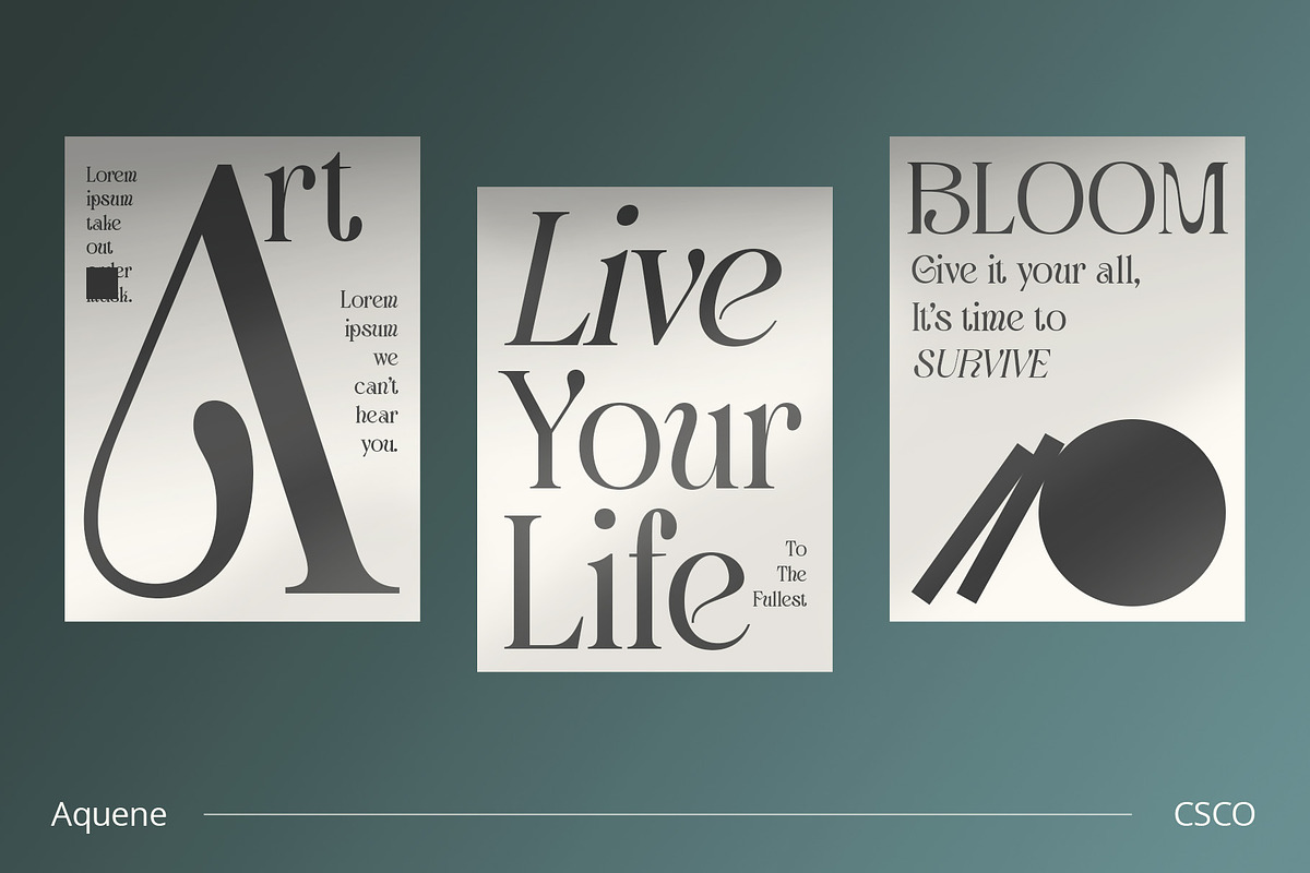Aquene – Display Serif, a Serif Font by Craft Supply Co. (Photo 2 of 8)