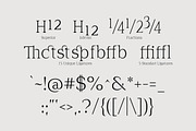 Cirvia Timeless & Fresh Serif Family, a Serif Font by Lettertype Studio (Thumbnail 10 of 15)