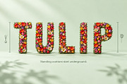 Tulip Font, a Serif Font by Handmadefont (Thumbnail 7 of 15)