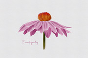 Procreate Lettering & Paint Brushes, a Brush Add-On by friday supply (Thumbnail 4 of 6)