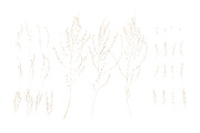 Nature's Calm, a Pattern Graphic by Note And Silence (Thumbnail 4 of 15)