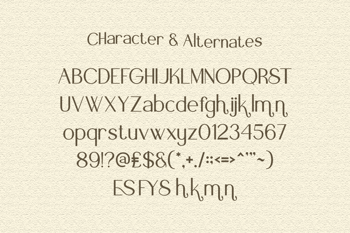 Fyora Elegant Sans Serif Font, a Font by Vadovastd (Photo 2 of 8)