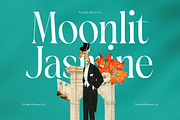Blamore Modern Serif Display, a Serif Font by timelesstype.co (Thumbnail 11 of 20)