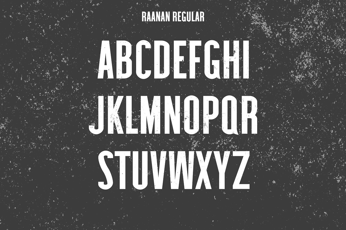 Raanan Classic Sans Serif Family preview 2
