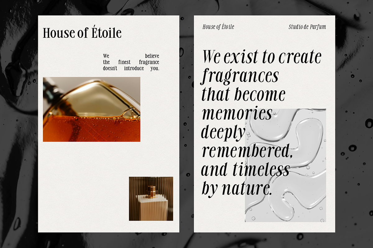 Rovair Lekosty - Modern Serif Font, a Serif Font by roomspace creative lab (Photo 9 of 14)