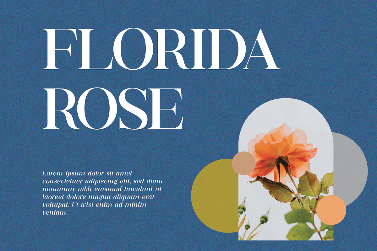 Deroma Serif, a Serif Font by Yahya Type (Photo 15 of 22)
