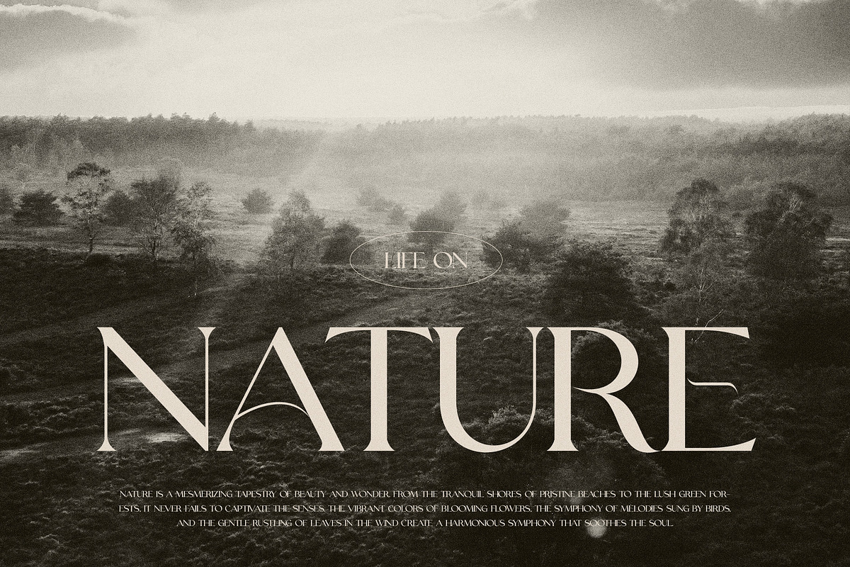 Grayson Elegant Serif Font Typeface, a Serif Font by Perfectype (Photo 9 of 10)
