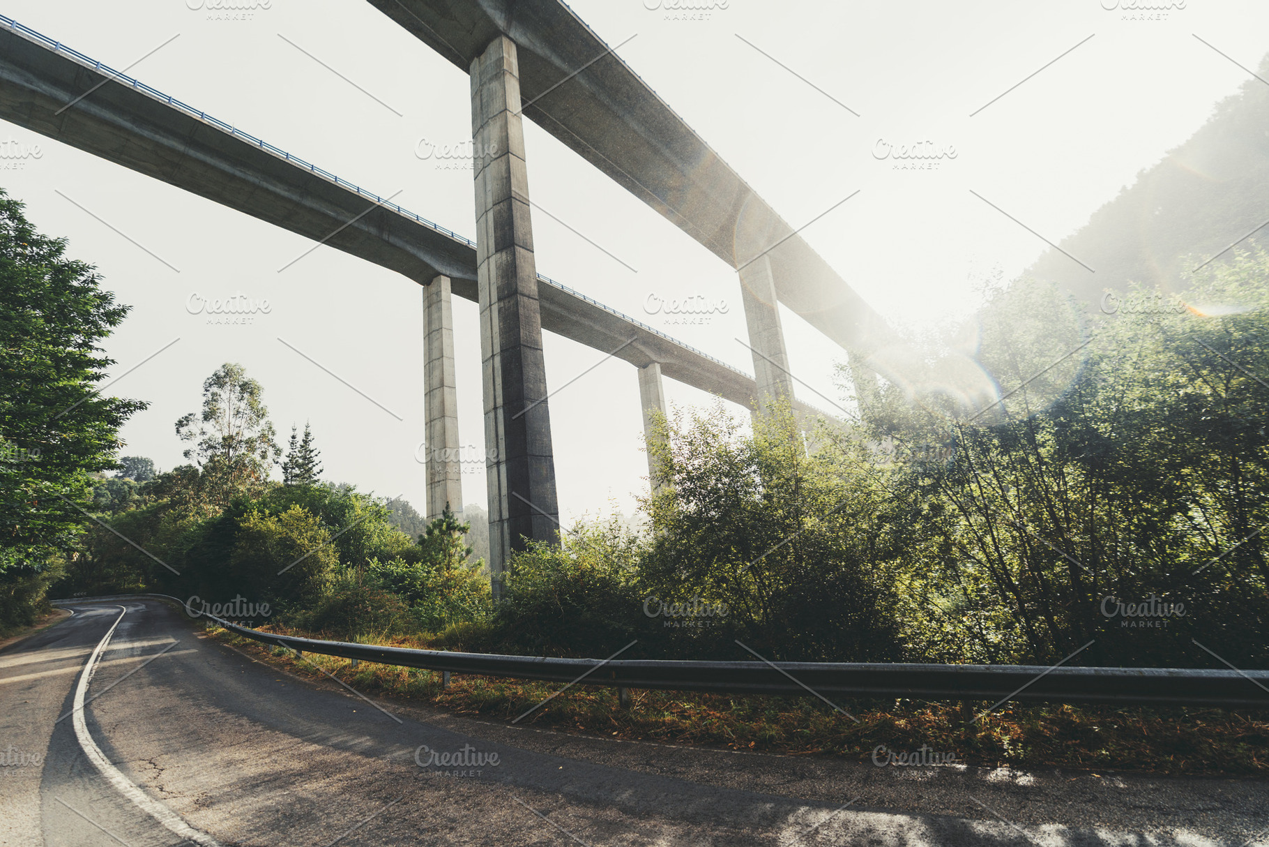 Viaduct over forest road flare, a Transportation Photo by SkyNext