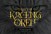 Kefago Font, a Serif Font by Grontype (Thumbnail 3 of 11)