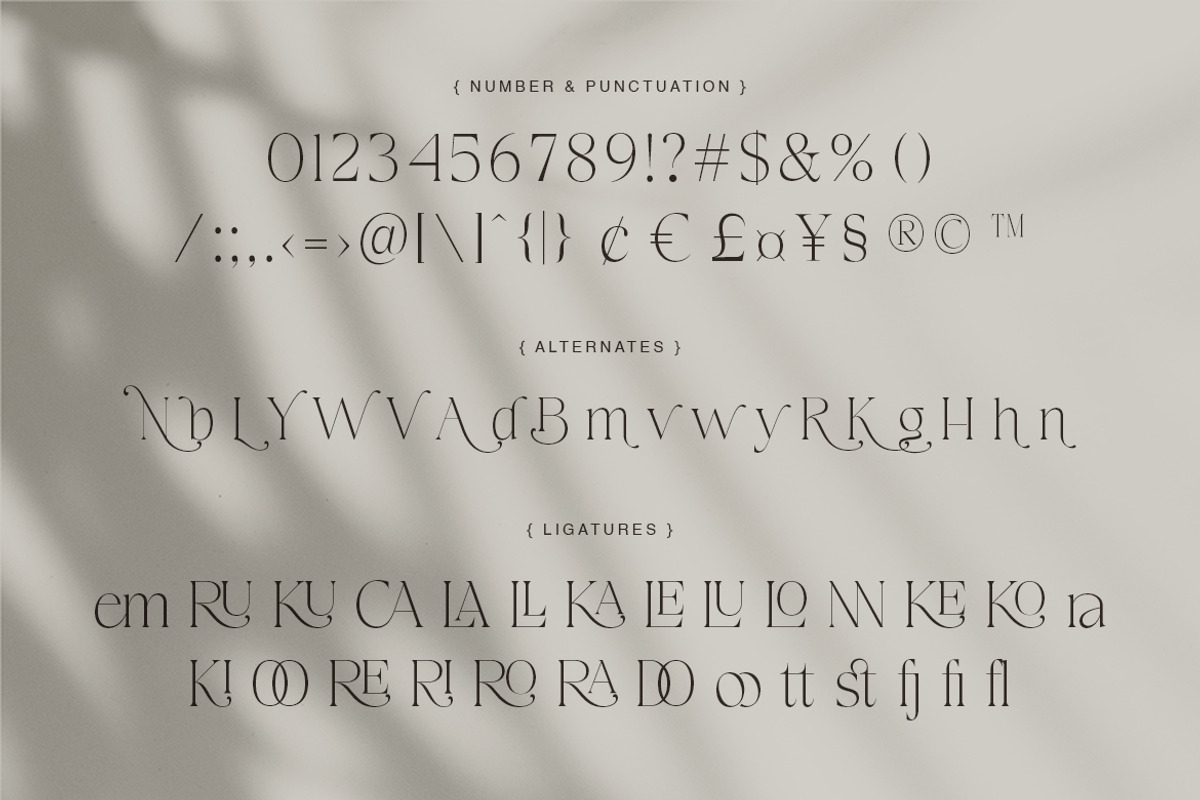 Carolan Elegant Display Serif, a Serif Font by Creatype Studio (Photo 7 of 10)