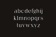 Gemindary Beautifully Display Serif, a Serif Font by UICreative (Thumbnail 2 of 13)