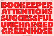 BN Buzzer Sans Serif Display Font, a Sans Serif Font by Bnick (Thumbnail 7 of 18)