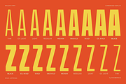 Molday – Modern Font Family, a Sans Serif Font by roomspace creative lab (Thumbnail 2 of 13)