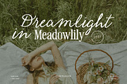 Vintage Serenade - Organic Font Duo, a Serif Font by Bale Type (Thumbnail 3 of 12)