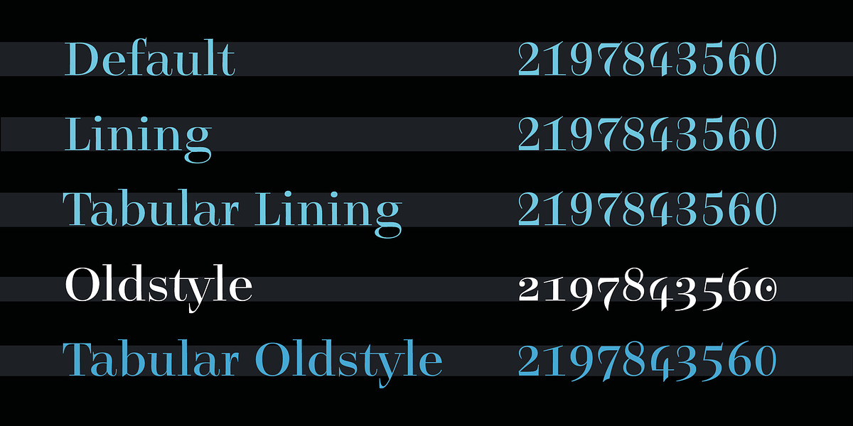 Legit Didone Head, a Serif Font by Finaltype (Photo 6 of 14)