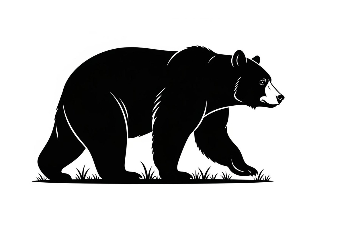 Nature Wildlife Bear Silhouette Bund, an Illustration by Designs_River (Photo 14 of 51)