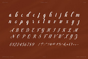 Gisellea Elegant Script Font, a Script Font by Graphicxell (Thumbnail 7 of 8)