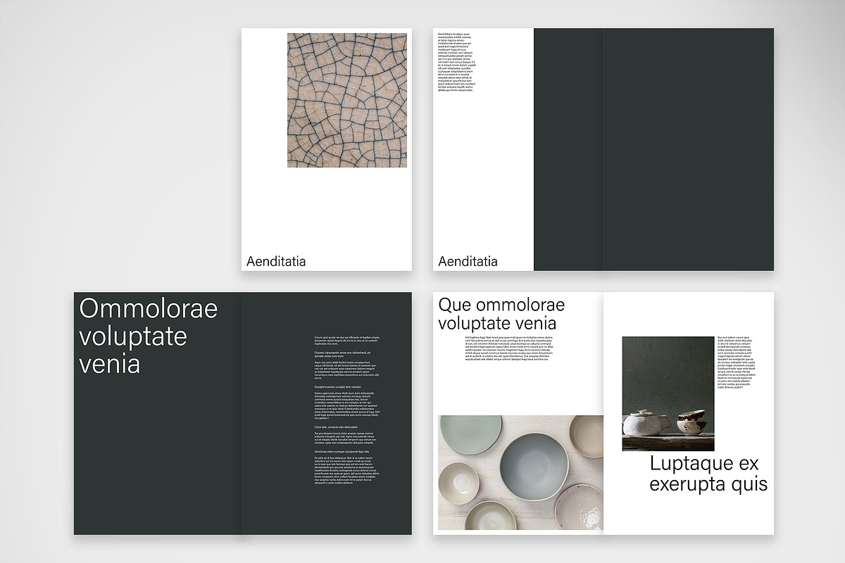 Minimalist Art Catalog Template, a Brochure Template by McLittle Stock (Photo 2 of 6)