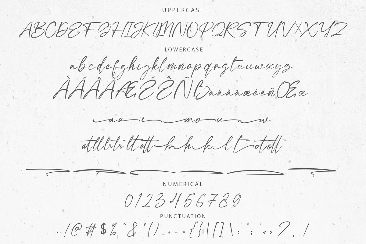 Mottinka Signature Script Font, a Script Font by NTC Graphic (Photo 8 of 9)