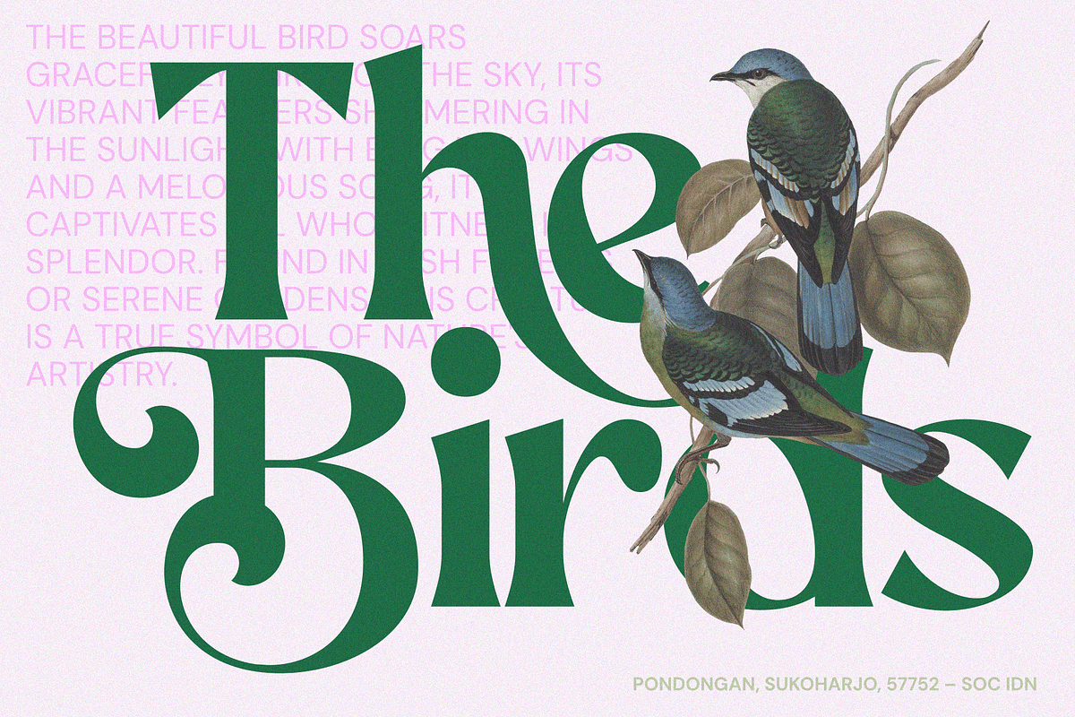 AEKIY KAGON — Elegant Bold Serif, a Serif Font by Enxyclo Studio (Photo 4 of 21)