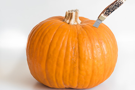 Small orange pumpkin and knife stuck