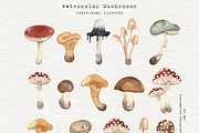 Mushrooms Watercolor Clipart, an Education Illustration by Ooh Lily (Thumbnail 2 of 8)