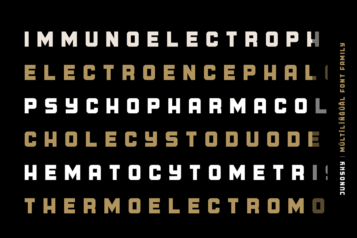 Junosky - Bold Font Family, a Sans Serif Font by alpercakici (Photo 11 of 13)