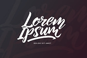 The Beard - Branded Typeface +Extras, a Script Font by Dirtyline Studio (Thumbnail 10 of 15)