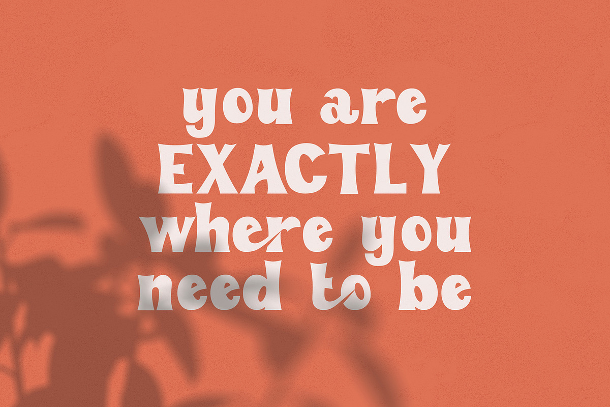 Retro Vibes | Vintage Bold Font, a Sans Serif Font by Anna Zakharchenko (Photo 9 of 21)