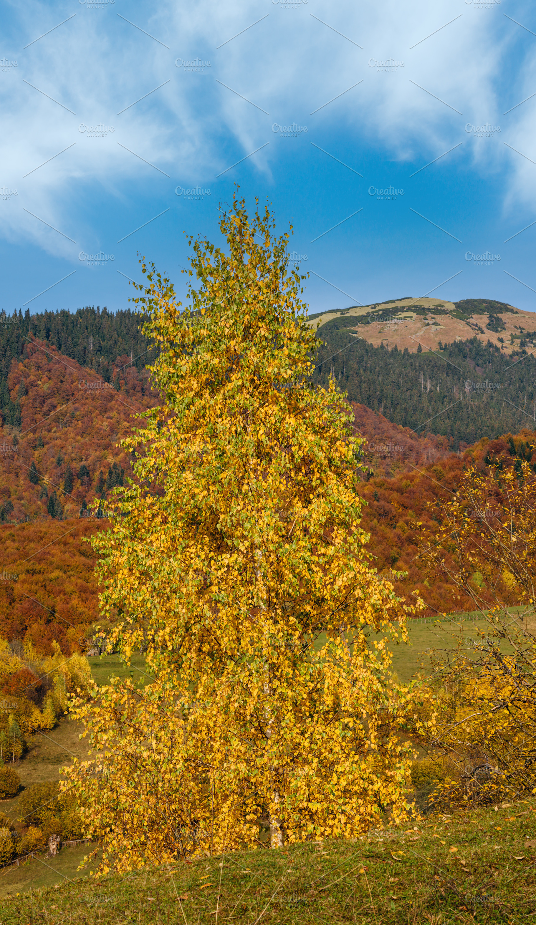 Autumn morning Carpathian Mountains calm picturesque scene, Ukra, a Nature Photo by YuriyB